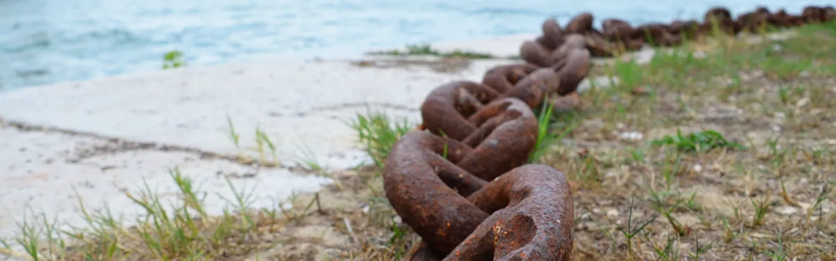 Document - Loi-cadre pour des systèmes alimentaires durables : la Commission se prépare à réguler tous les maillons de la chaîne