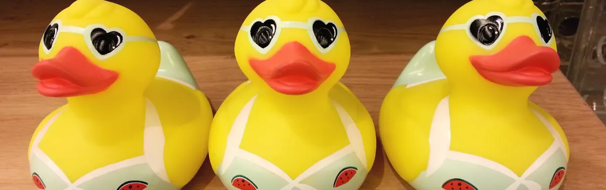 La Commission écarte l’élimination des canetons femelles de la révision du texte sur le bien-être animal