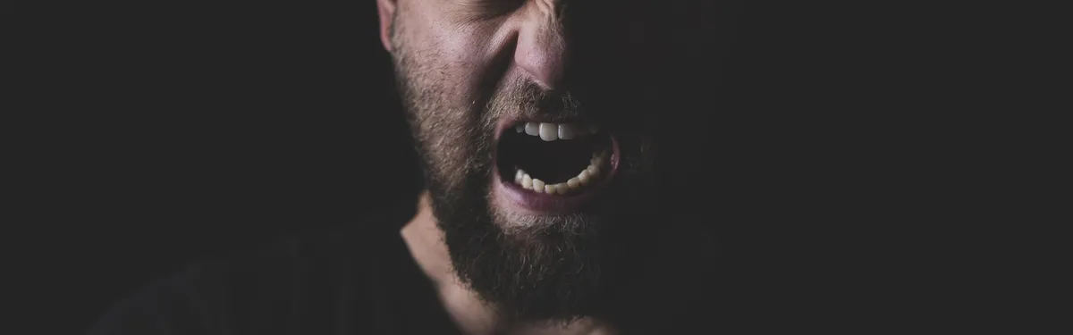 Énergies renouvelables : la France fait traîner la directive RED, diplomates et eurodéputés voient rouge