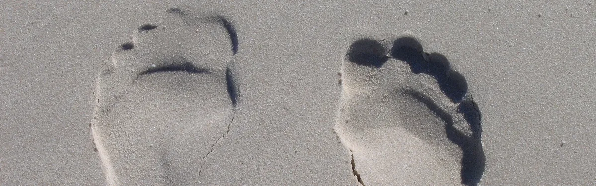 Élevage, engrais, soja… Les premières mesures envisagées par le gouvernement pour réduire l’empreinte carbone de l’agriculture