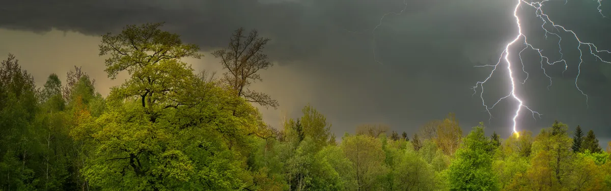 Au Parlement européen, la restauration de la nature plie, mais ne rompt pas (encore)