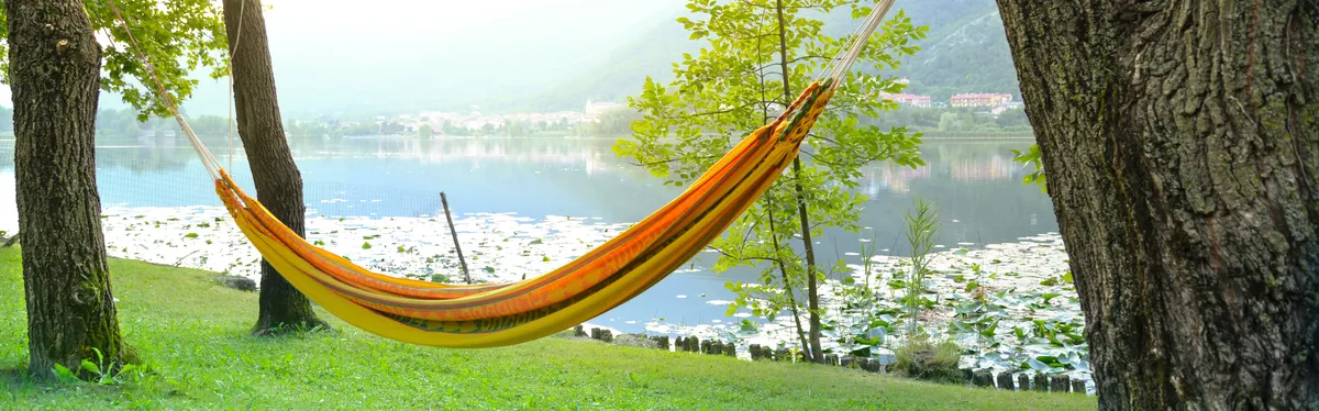 Info Contexte - La Commission européenne ne prévoit pas d’objectifs contraignants sur la santé des sols