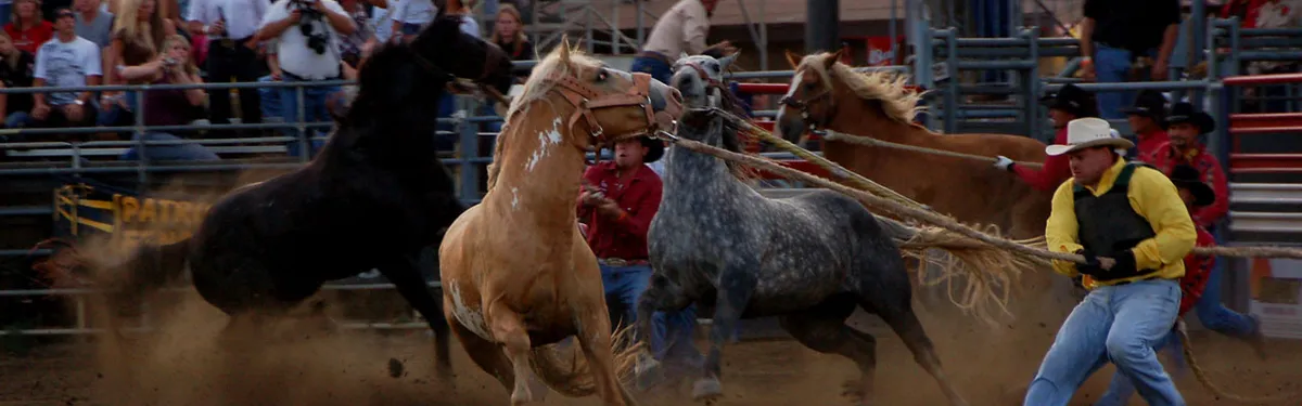 Planification écologique : l’incertitude après un an de travail