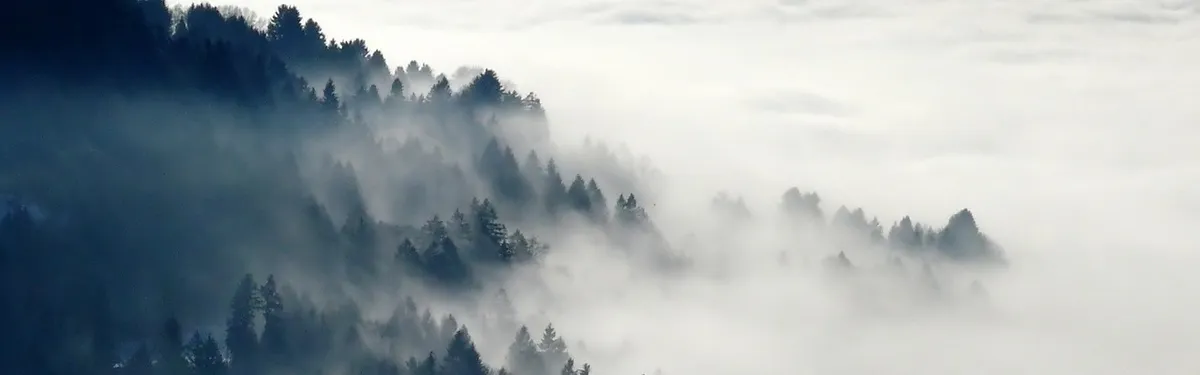 La future loi d’orientation agricole dans le brouillard