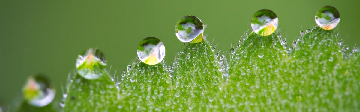 Les sévères constats de la Cour des comptes sur la gestion quantitative de l’eau