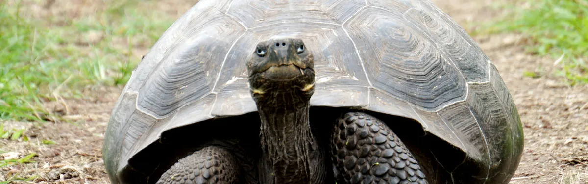 Mission Borne : un « New Deal » plutôt qu’une révolution