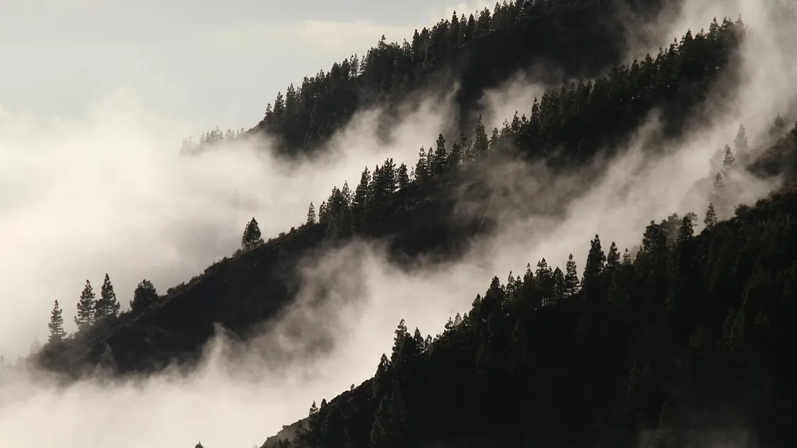 [Agenda] L’écologie dans le brouillard à Paris, en proie aux vents contraires à Bruxelles