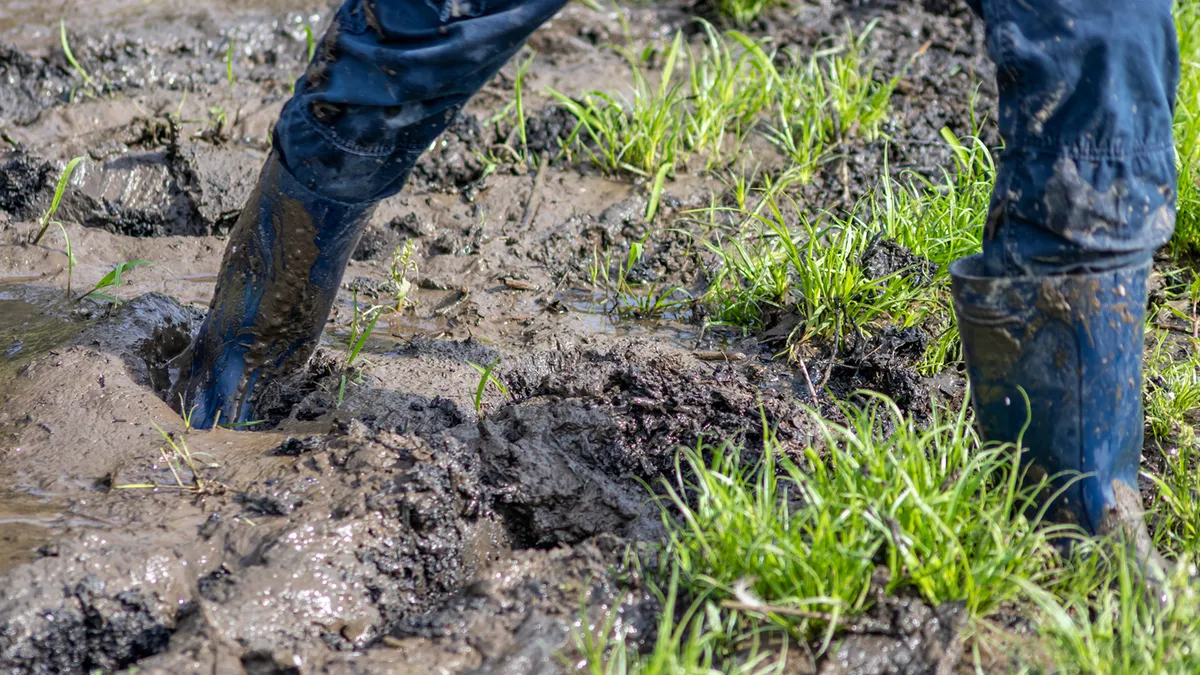 Le gouvernement tente de ne pas s’embourber dans les zones humides agricoles