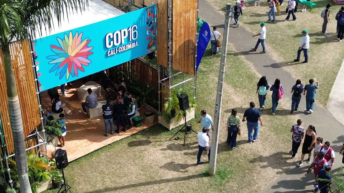 Biodiversité : tout pour être calé sur la COP16 de Cali