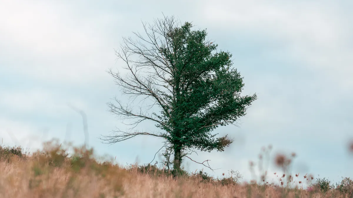 OFB : la police de l’environnement en PLS