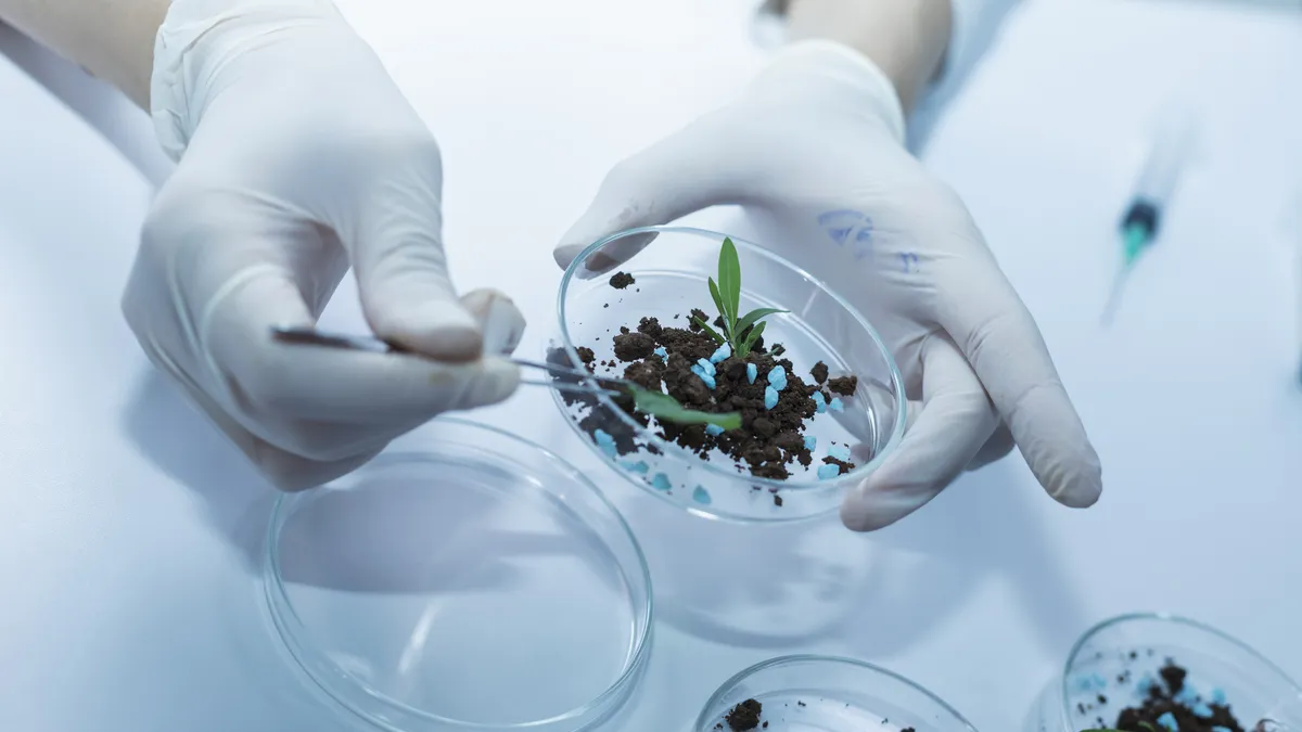 Nouvelles techniques génomiques : après le vote en plénière, l’ADN du texte reste intact malgré quelques modifications