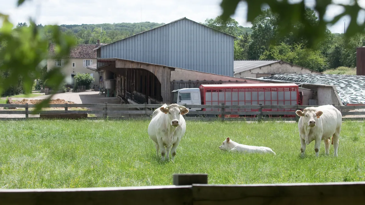 Souveraineté, normes, haies, eau : les points clés de la future loi issue de la crise agricole