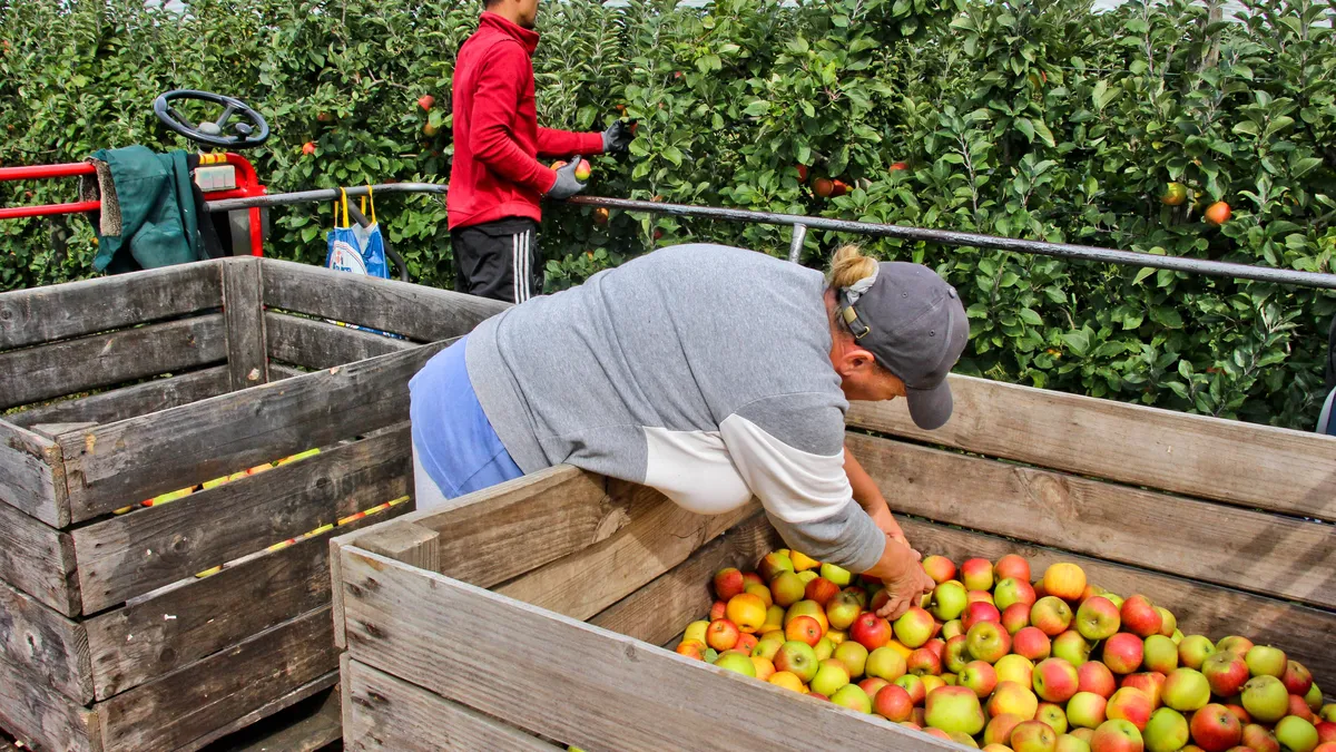 Sceptique face aux prix planchers, la filière fruits et légumes préfère muscler les organisations de producteurs