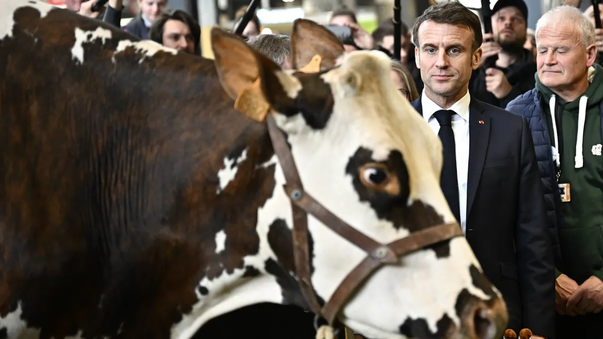 Egalim : les propos d’Emmanuel Macron ravivent l’équivoque sur la construction du prix dans les contrats laitiers