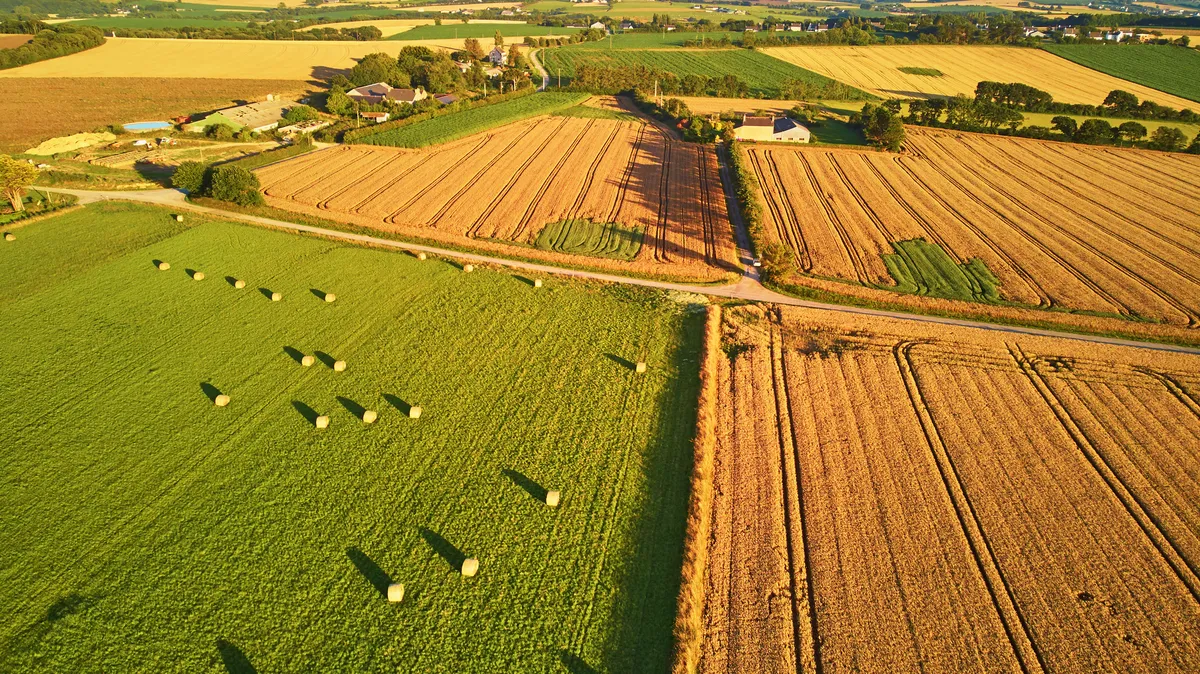 Les nouveautés à retenir du projet de loi agricole après son passage en commission