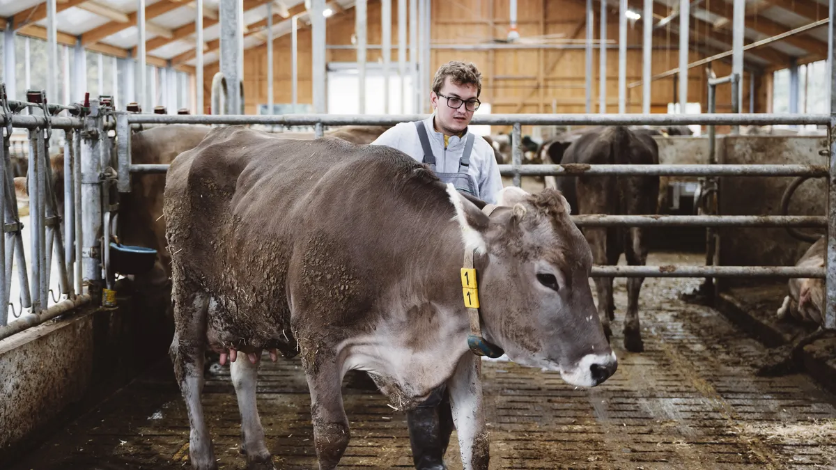 Sommet de l’élevage à Clermont-Ferrand : un événement à hauts risques politiques