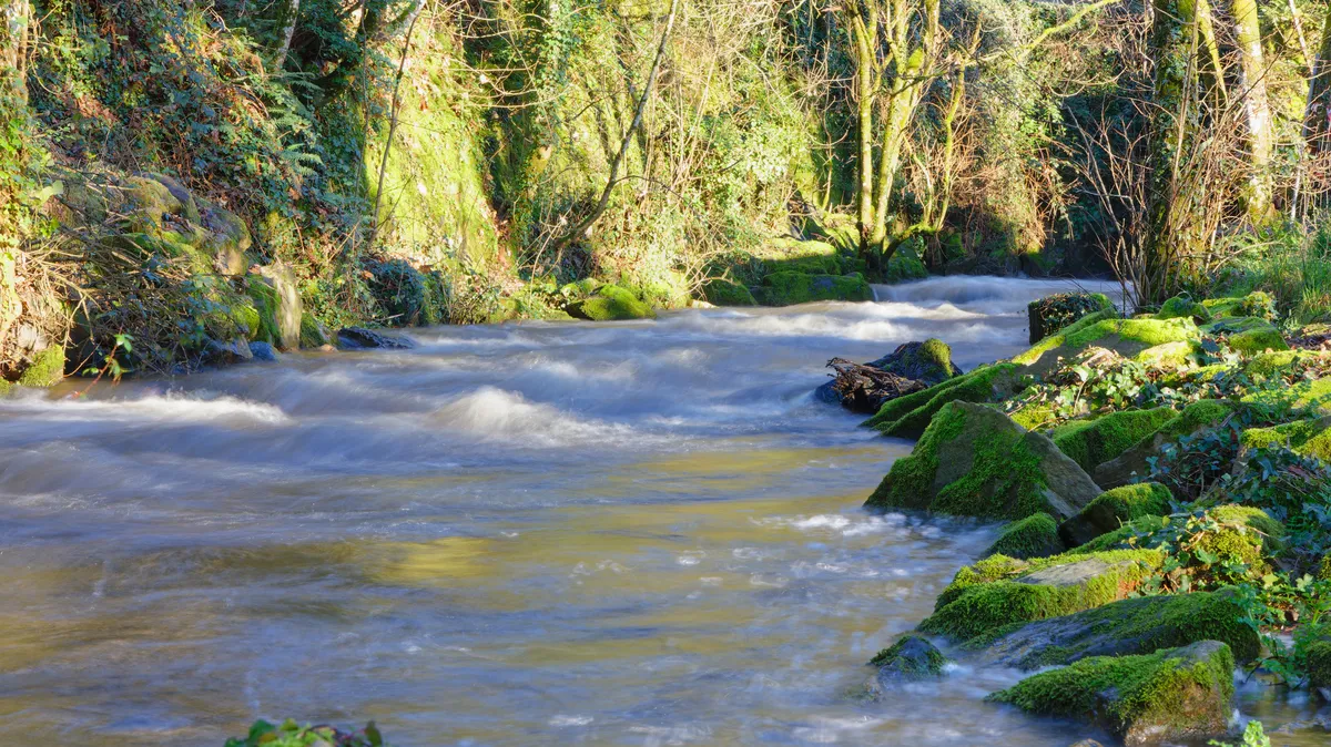Les États s’octroient un droit temporaire à polluer les rivières