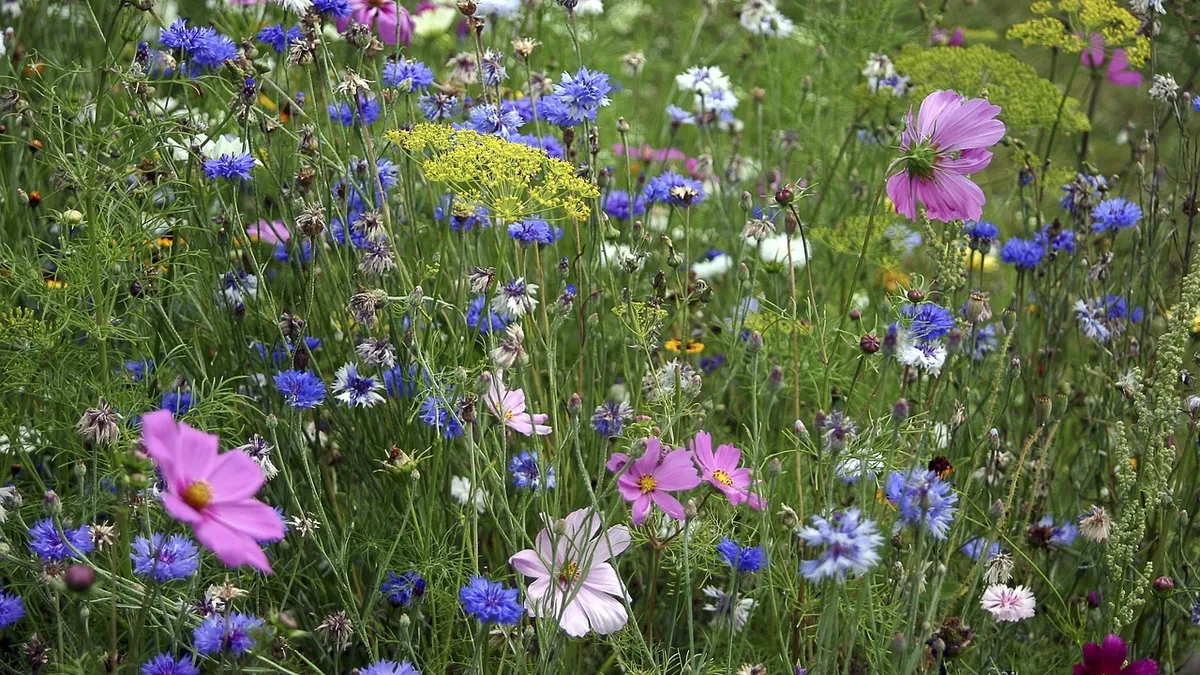 Dissolution de l’Assemblée : le risque de voir les réformes agricoles tomber en jachère