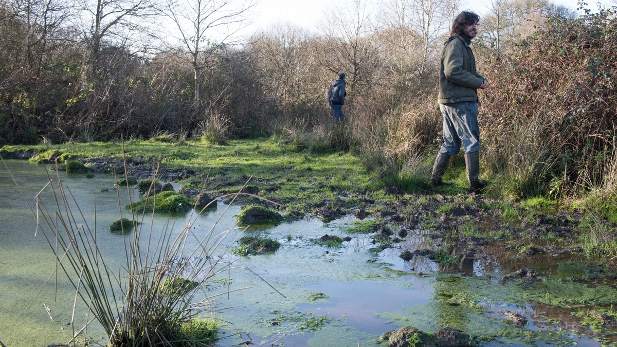 Les zones humides protégées par la PAC réduites à la portion congrue sous la baguette de la FNSEA