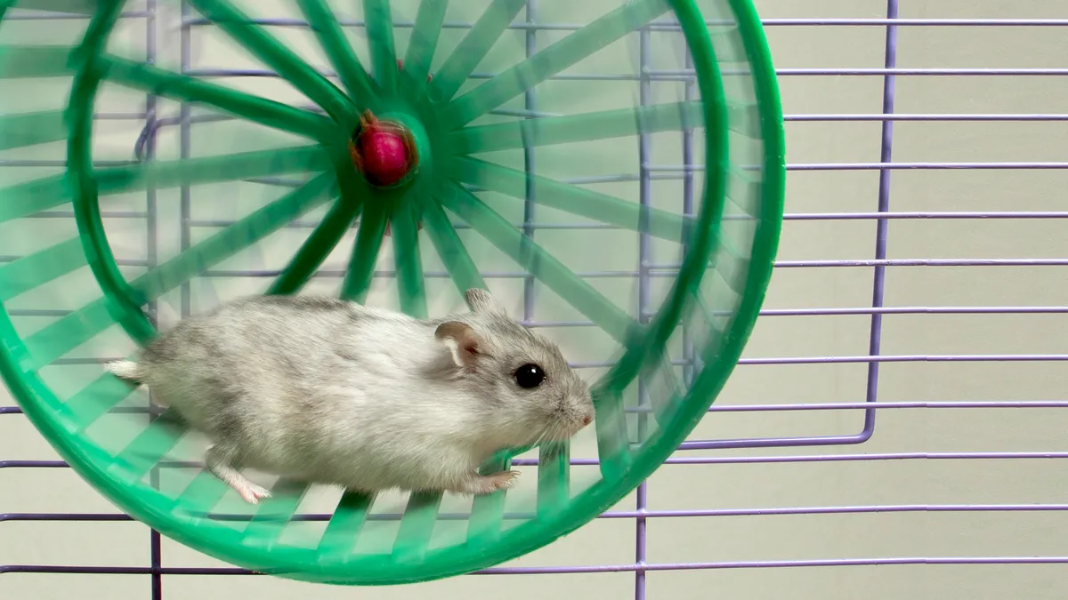 Environnement : nouveau cycle à Bruxelles, jour sans fin à Paris