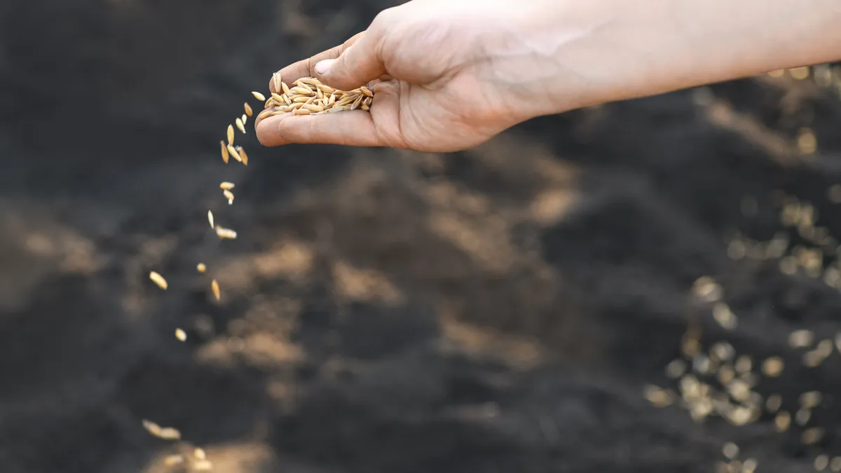 Bruxelles lance les semis, Paris reste en jachère : les temps forts pour l’agriculture au premier semestre 2025