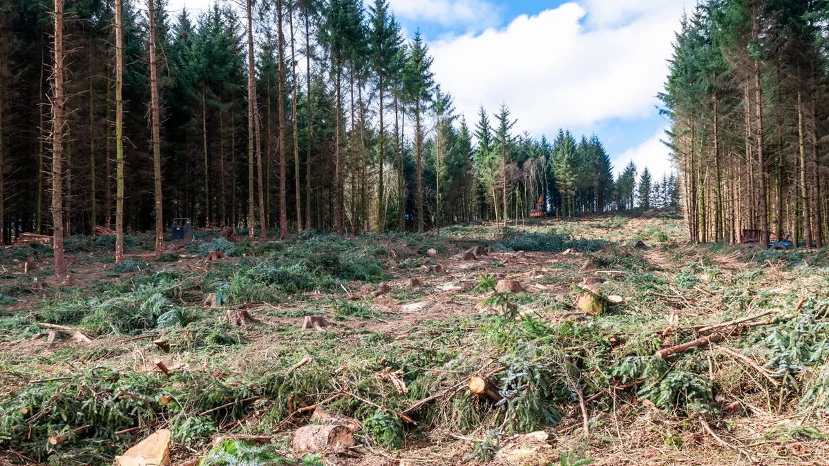 Règlement déforestation : la Commission exclut finalement un report mais ouvre la voie à des simplifications
