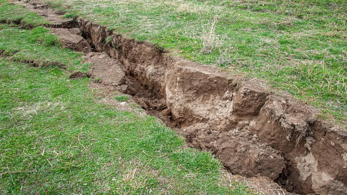 À l’aube de son congrès électif, la Coordination rurale se divise sur sa ligne politique