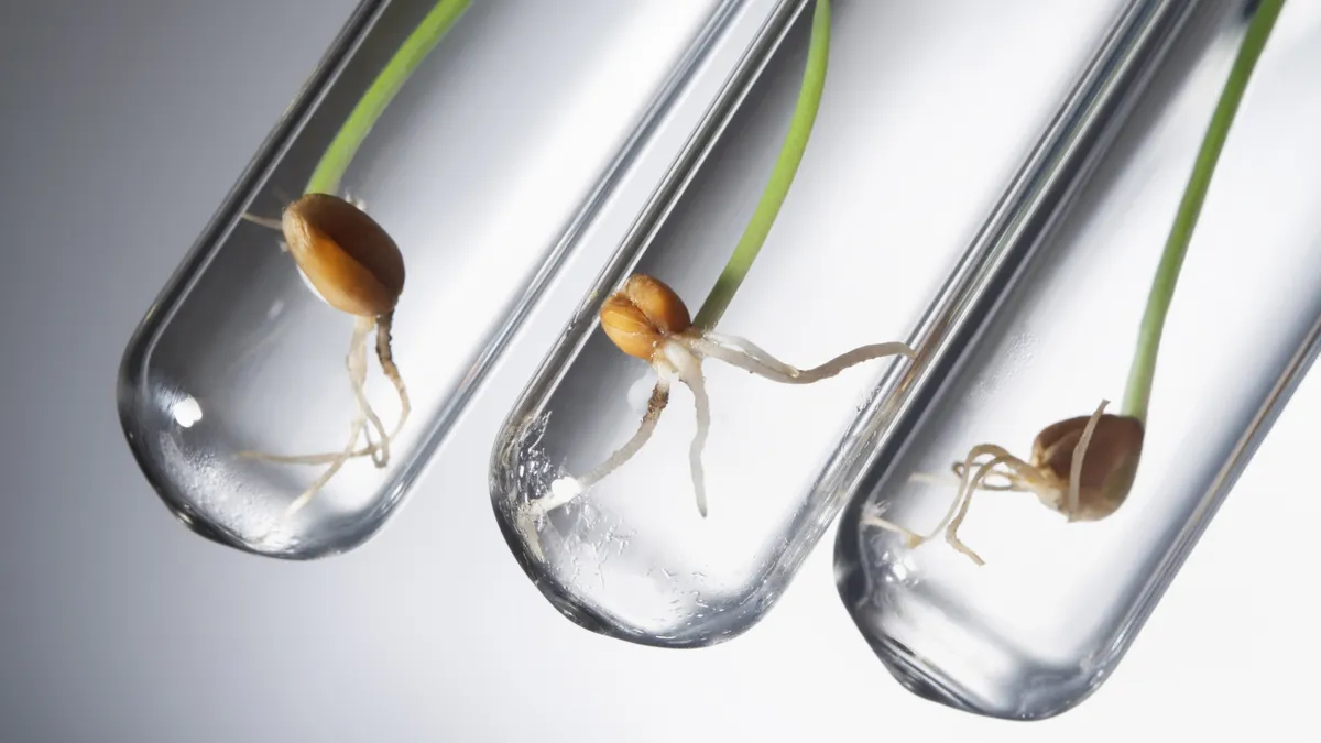 Les ingrédients du cocktail explosif des négociations sur les nouvelles techniques génomiques