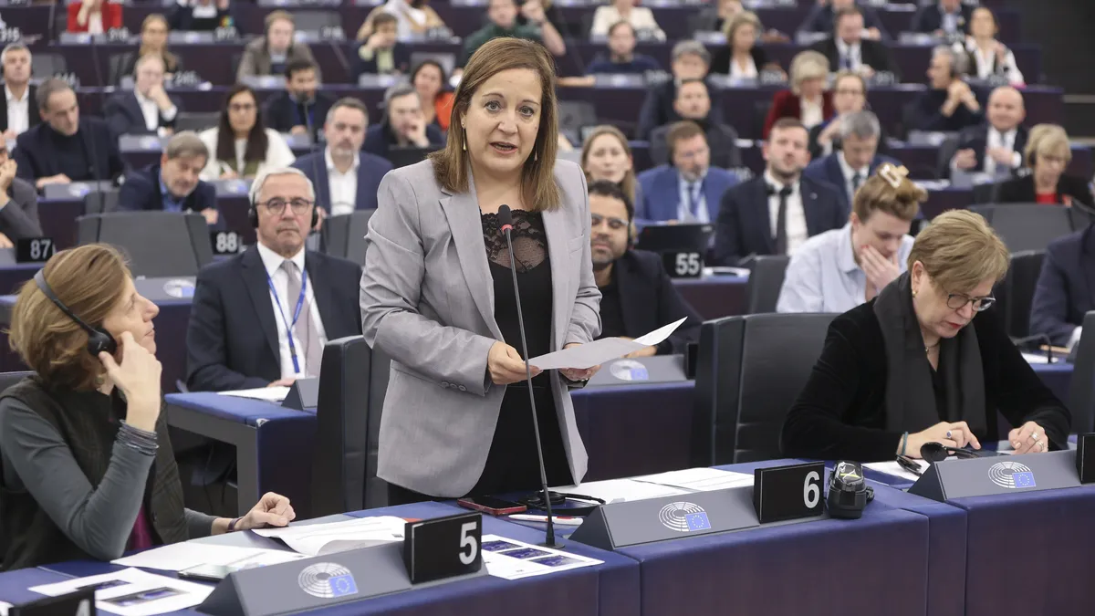 Au Parlement européen, des sociaux-démocrates vigilants face à une droite infidèle