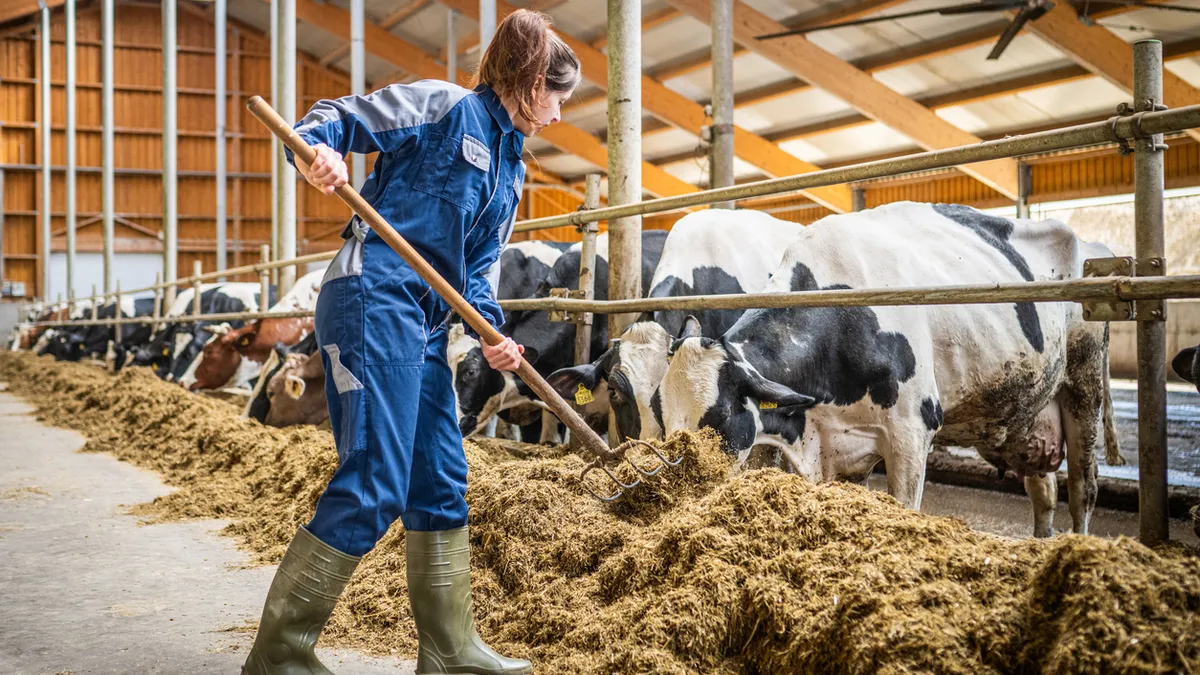 Les ultimes points chauds de la proposition de loi « contraintes »