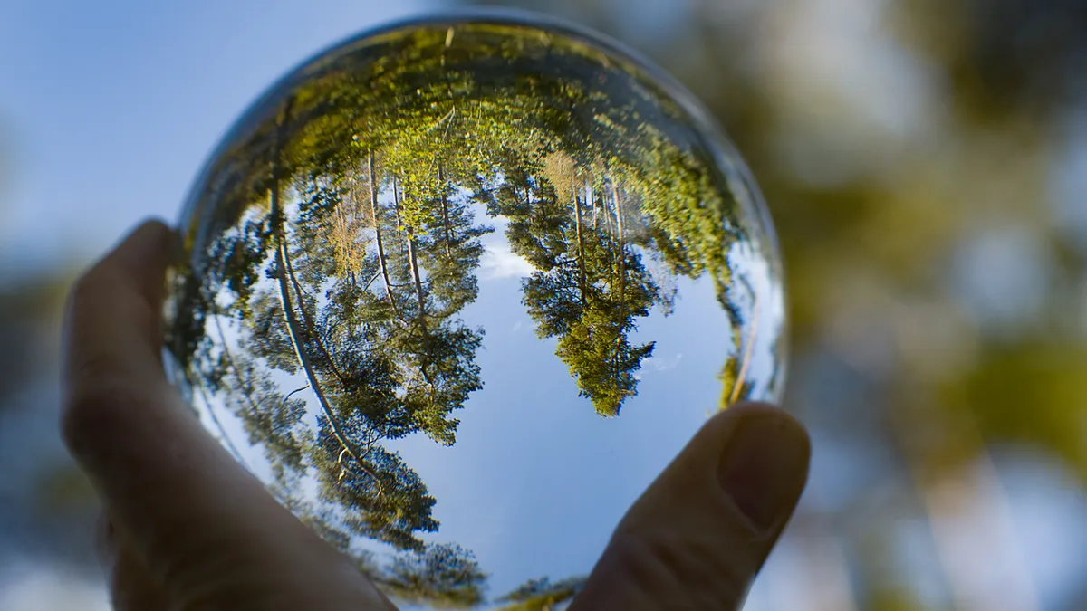Pourquoi le prochain budget de l’Union inquiète les défenseurs de la nature